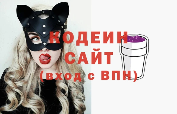ECSTASY Алзамай