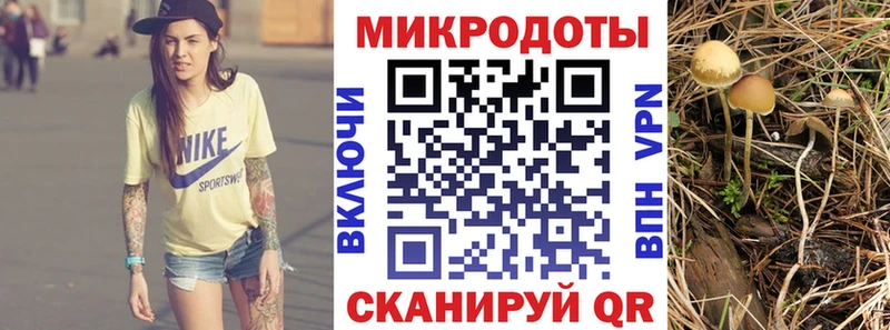 Псилоцибиновые грибы Magic Shrooms  Абаза 